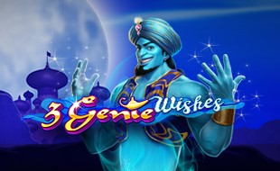 3 Genie Wishes