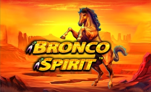 Bronco Spirit