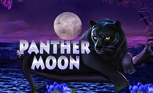 Panther Moon