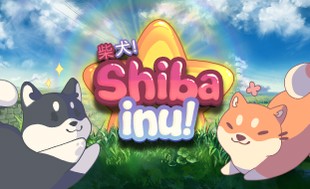 Shiba Inu