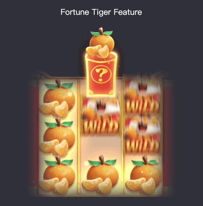 fortune tiger