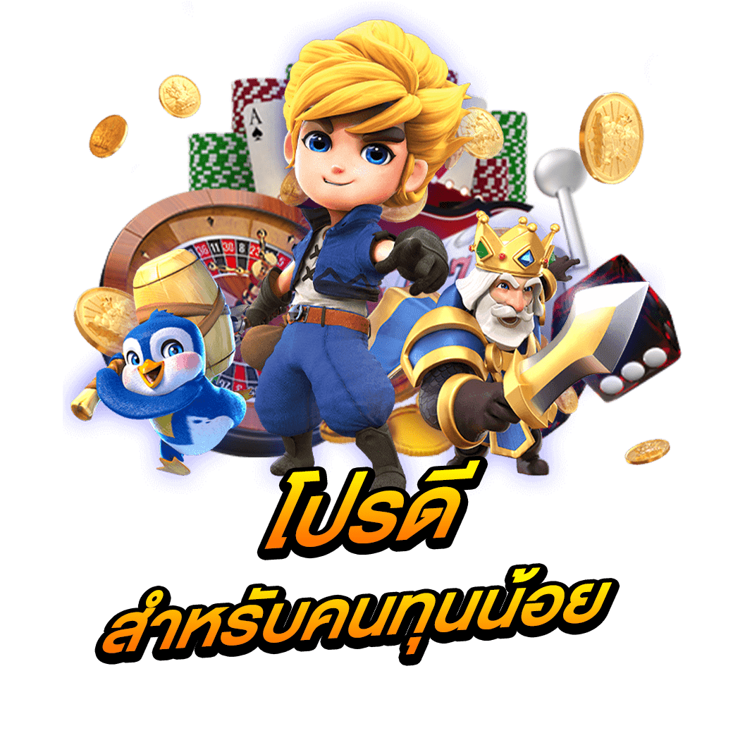 โปรดีสำหรับคนทุนน้อย