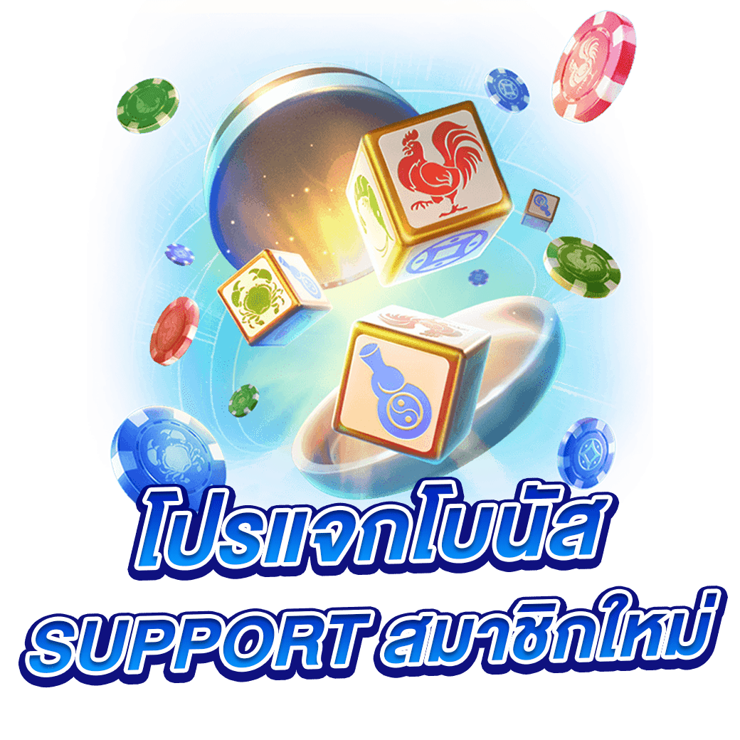 โปรแจกโบนัส support สมาชิกใหม่